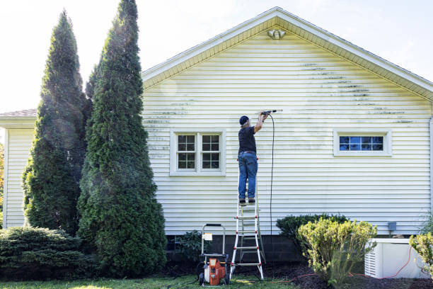 Best Solar Panel Cleaning  in Mountainside, NJ